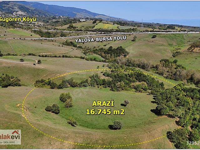 YALOVA MERKEZ GÜNEY KÖY'DE 16745 m2 UYGUN FİYATLI FIRSAT ARAZİ