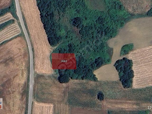 YALOVA MERKEZ HACIMEHMET'TE 1.121,00 m KONUT ALANI