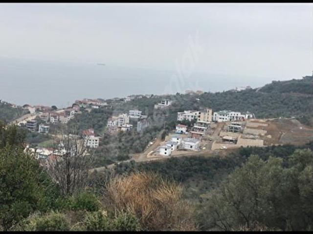 Yalova Çınarcık Esenköy'de Satılık Arsa