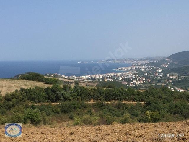 YALOVA Çınarcıkda satılık villa imarlı arsa