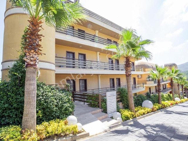 Yalova Thermal Palace 6+1 Kişilik Yüksek Kırmızı Dönem Devremülk