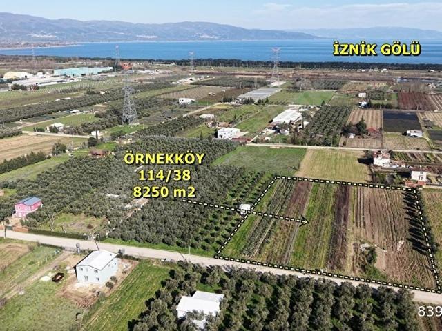 YALOVA TURYAPTAN İZNİK GÖLÜNE YAKIN YATIRIMLIK TARLA