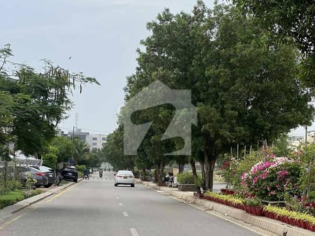 500 Yards Residential Plot For Sale Zone A