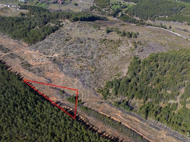 YATAĞAN YUKARIYAYLA MAHALLESİ 5233 M2 SATILIK TARLA