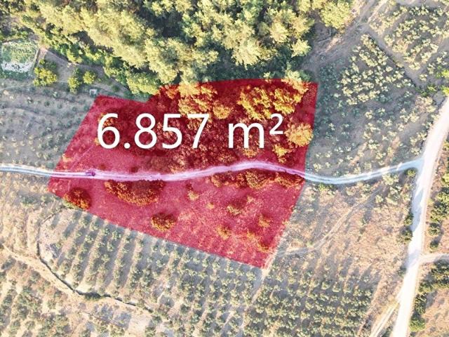 YATAĞAN YAVADA AYRI AYRI İKİ PARSEL TOPLAM 6.857 M SATILIK YATIRIM FIRSATI! AÇIKLAMALARDA!