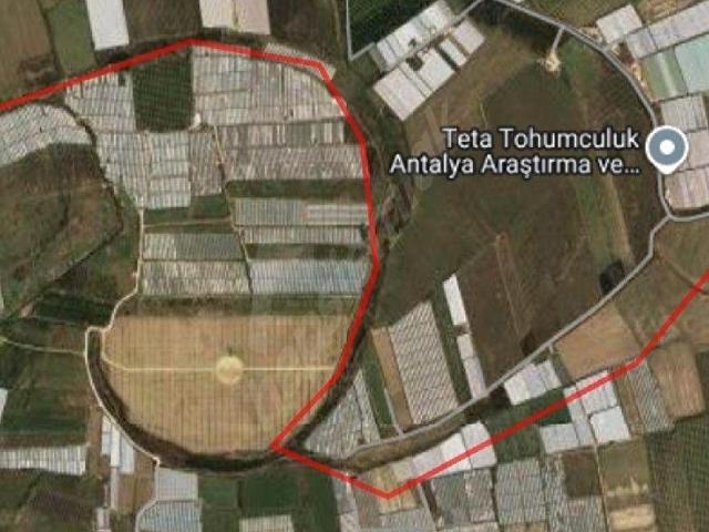 YATIRIM'LIK ARAZİ Müstakil Tapu 11 Dönüm.