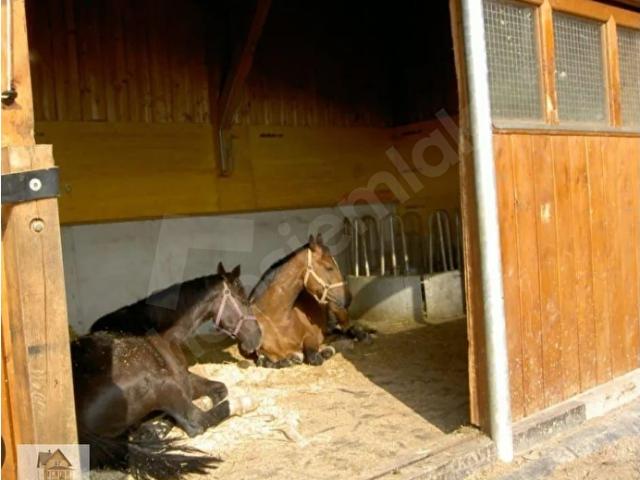 YATIRIM'LIK EMSALSİZ YER İZMİR BUCA DA SATILIK AT HARASI