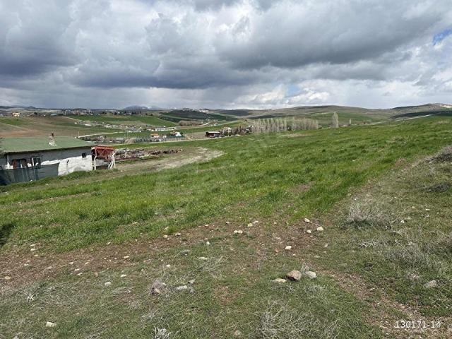 YAVUZ SELİM MAHALLESİNDE 387 METRE KELEPİR HİSSE