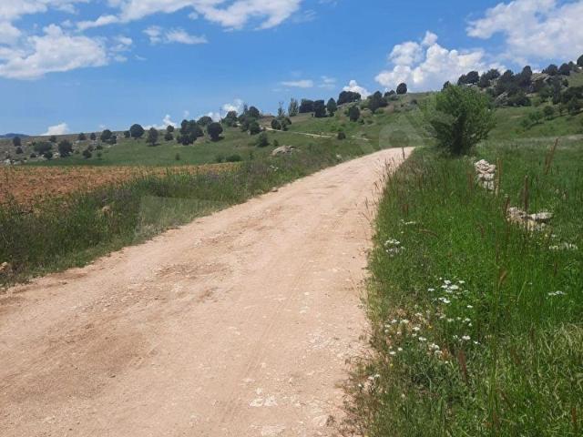 YAYLA ATLIDERE 5589 M2 ARAZİ TEK TAPU MÜSTAKİL