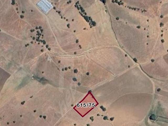 YAYLA KARAÇULHA ATOYNAĞI MEVKİ 1608 M2 MÜSTAKİL TARLA