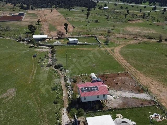 YAYLA KARABEL MEVKİİNDE YERLEŞİME YAKIN SATILIK YAYLA ARAZİSİ