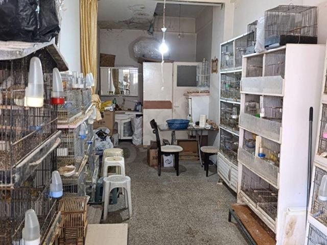 YEŞİLYURT REİS MAH ZAIMAĞA CADDESİ SATILIK DÜKKAN