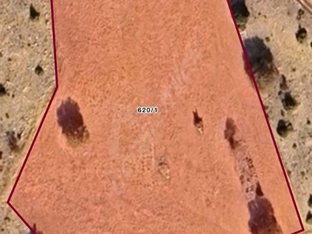 YEŞİLDERE ÜÇBAŞ MEVKİİ 8.000 m2 HOBİLİK TARLA ARSA HOBİ YERİ
