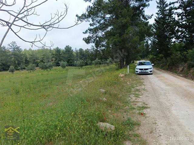 YEŞİLDERENİN HEMEN ÜZERİNDE YOL CEPHELİ SATILIK TARLA