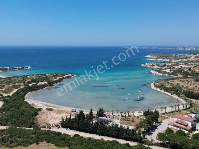 Yeşilkent Martısitesi Köşe Başı Önü Zeytinlik Tam Müstakil Villa