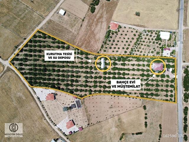Yeşilyayla'da Satılık 19.759m Ceviz Chandler Bahçesi ve Evi