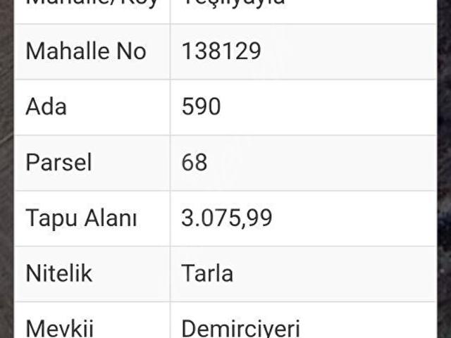 yeşilyayla'da satılık tarla