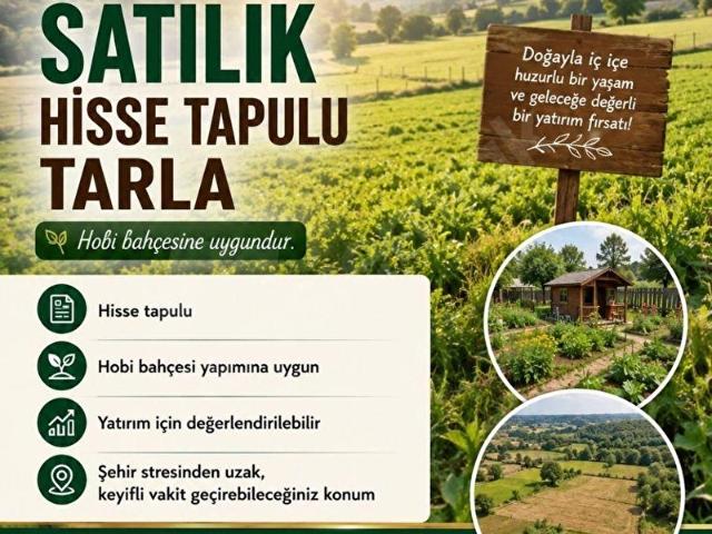 YENİMAHALLE MEMLİKTE TAPULU 2224M2 SATILIK ARSA