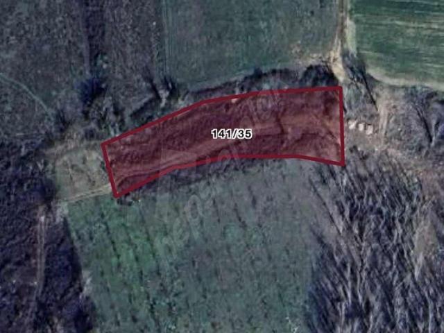 YENİCE KARABEY 2.138 m2 TARLA