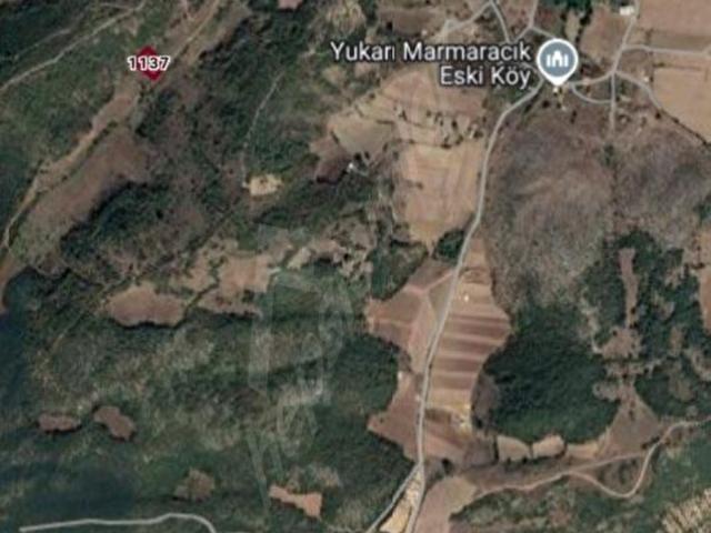 YENİŞEHİR MARMARACIKTA SATILIK SATILIK TARLA