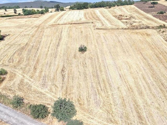 YENİŞEHİR GÜNECE MAH. 2645 m2 YOLU MEVCUT SATILIK FABRİKA
