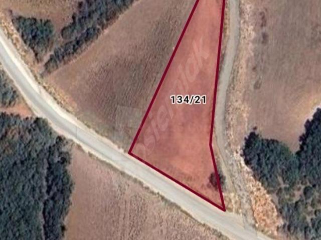 YENİŞEHİR KARAAMCA MH.DE 3366m Asfalt Cepheli Tarla Fırsatı