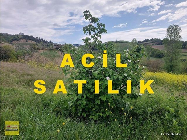 YENİŞEHİR KIZILKÖYDE ACİL SATILIK YAPIYA UYGUN 4950m2 TARLA
