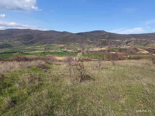 YENİŞEHİR SÜLEYMANİYE DE SATILIK 4500 M2 TARLA