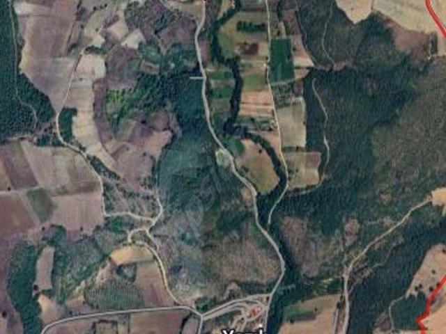 YENİŞEHİR YAZILI MH. DE 3368m RESMİ YOLU OLAN KÖY YAKINI TARLA