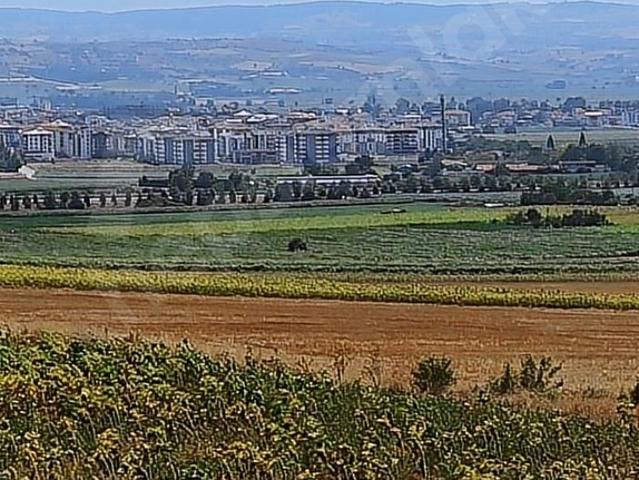 YENİŞEHİRE COK YAKIN ARSA ADAYI TARLA 3400 m2