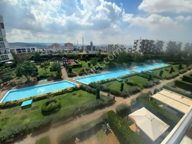 Yenişehir Dumankaya Konsept Kurtköy Eşyalı Kiralık 1+1 Daire