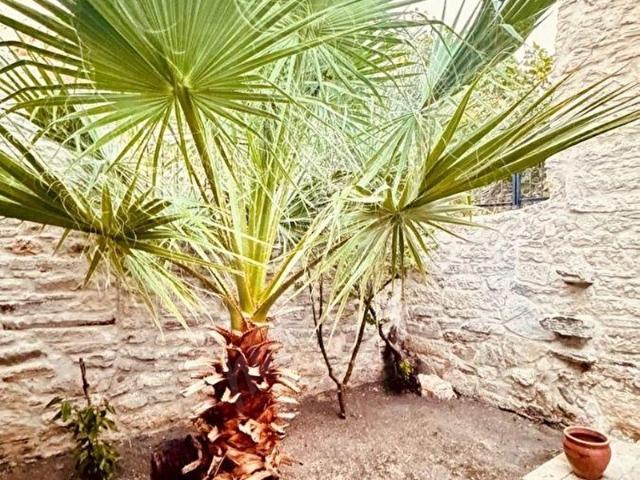 YENİFOÇA MERKEZDE SEZONLUK,HAFTALIK KİRALIK 1+1 TAŞ EV