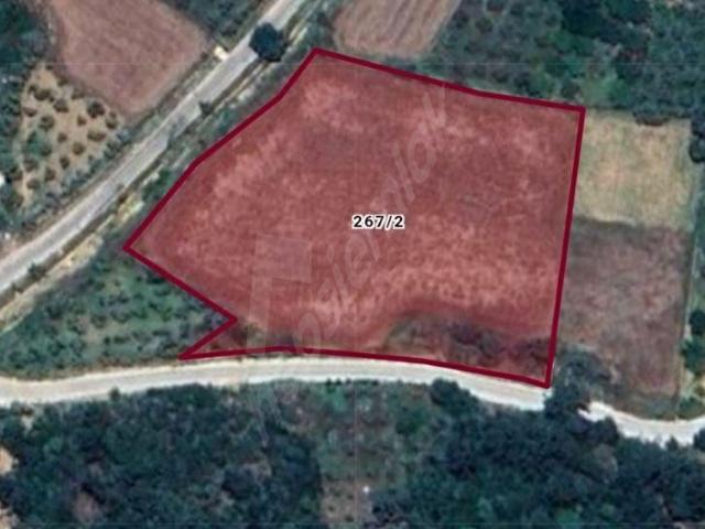 Yenice'de İmara Yakın Asfalt Yola Cepheli 7243 M2 Satılık Tarla