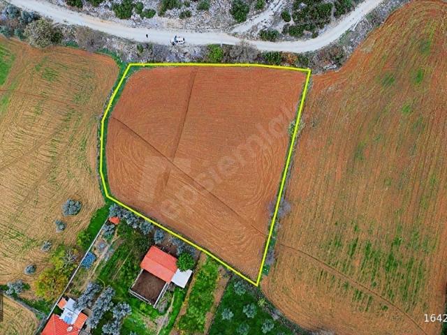 YERKESİK'TE KÖY YERLEŞİMİNDE %5 İMARLI SATILIK TARLA