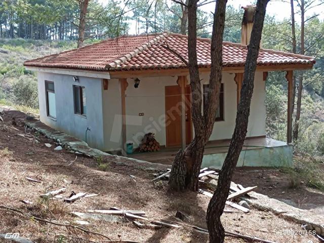 Yerkesik Merkezde İçinde Evi Olan Çiftlik Arazisi Satılıktır