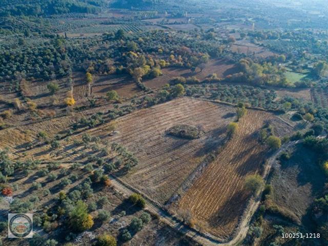 Yerkesikte Yatırım değeri Yüksek Arazi