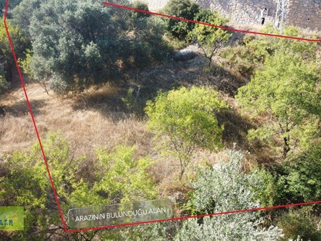 YERLEŞİM ALANI İÇİNDE FIRSAT ARAZİ