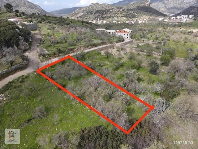 YERLEŞİME YAKIN KADASTRAL YOLU OLAN BADEMLİK