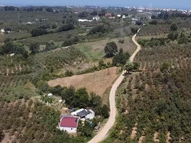 Yerleşik Alana Sınır 3586m2