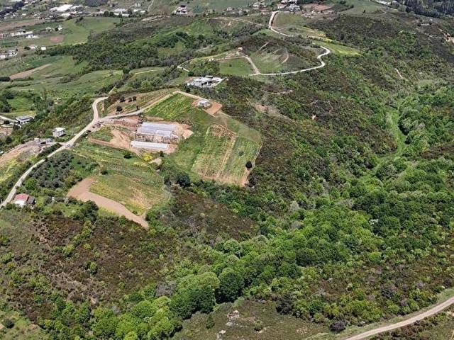 YERLİTÜRK'TEN AKKÖY'DE KÖY MERKEZİNE YAKIN 7673m2 BAĞ BAHÇE