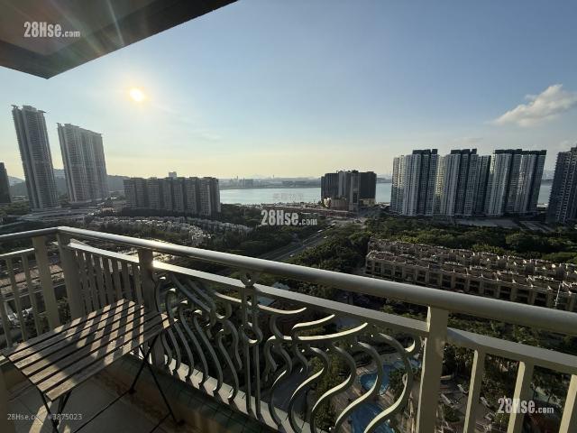 映灣園 #3875 租盤樓盤詳細資料