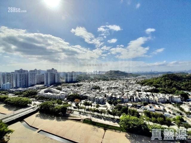 映御 #3786 售盤樓盤詳細資料