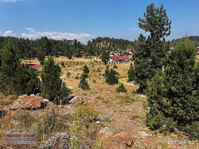 YILDIRIM EMLAK'TAN SATILIK MERKEZE DENİZE 30 KM ARDIÇ YAYLASINDA ÖNÜ KAPANMAZ MUHTEŞEM KONUMDA TARLA