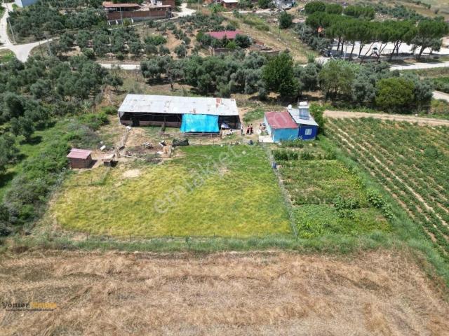 Yönter Emlak'tan Işıklar Köyünde Satılık Ruhsatlı Çiftlik
