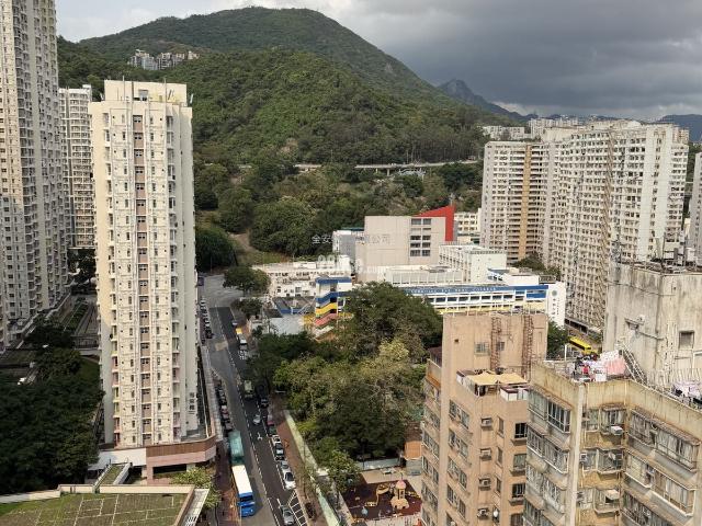 單幢樓房 #3809 租盤樓盤詳細資料