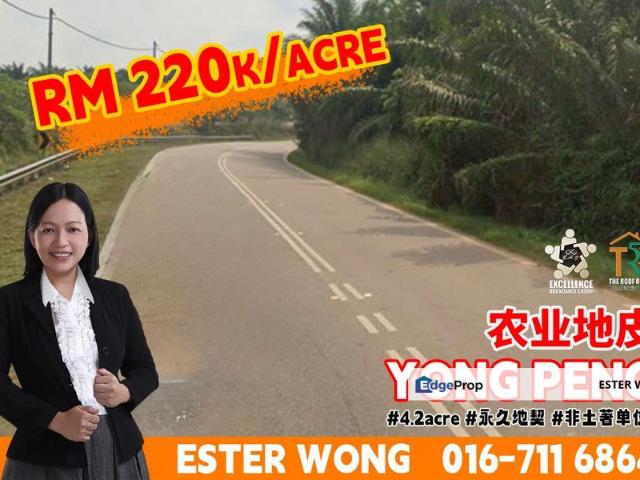 Yong Peng