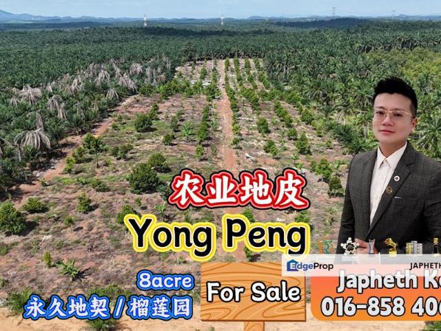 Yong Peng