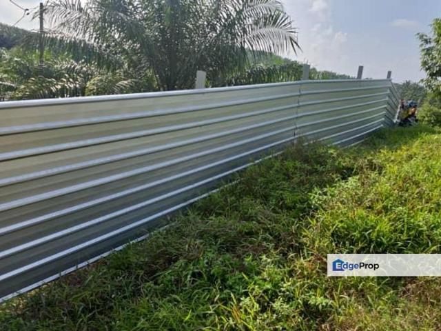 Yong Peng