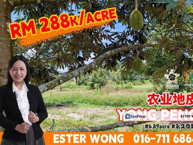 Yong Peng