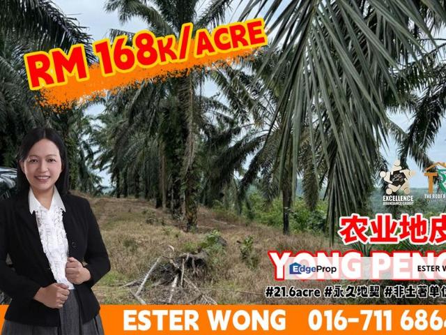 Yong Peng